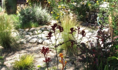 Decorative gravel and rocks in your garden can provide an attractive place for rain to sink down into the soil.