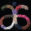 kcahill profile image