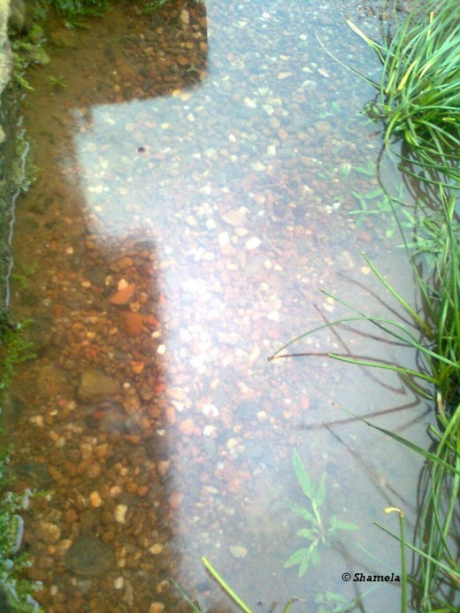 A small puddle that has a little bit of rainwater.