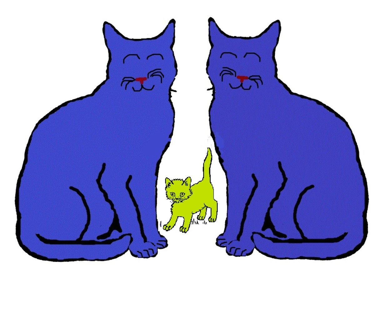 Indigo Cat X Indigo Cat = Green Genetic Mutation
