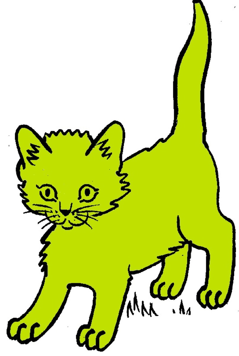 Green Cats are now a recognized breed!