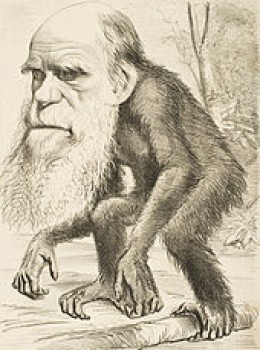 https://usercontent1.hubstatic.com/6466132_f260.jpg