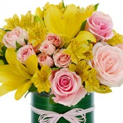 onlineflowers profile image