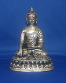 The Buddha is a name that means "The Awakened One." It was given to Gotama Shakyamuni 2550 years ago, and he accepted it.