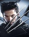 As Wolverine 