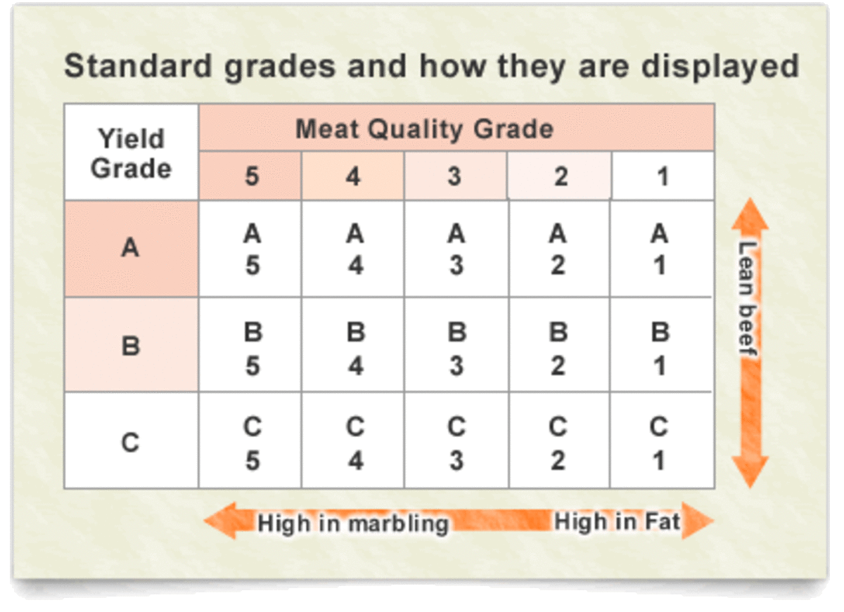 Overall Meat Grade Originally found in http://www.jp-wagyu.com