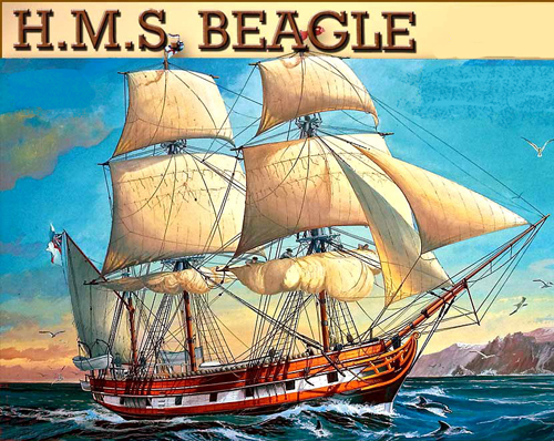 HMS BEAGLE 