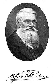 ALFRED RUSSELL WALLACE