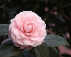 http://s3.hubimg.com/u/6483890_f248.jpg