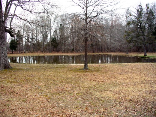 Photo 27 - Red, Blood Pond at Shiloh