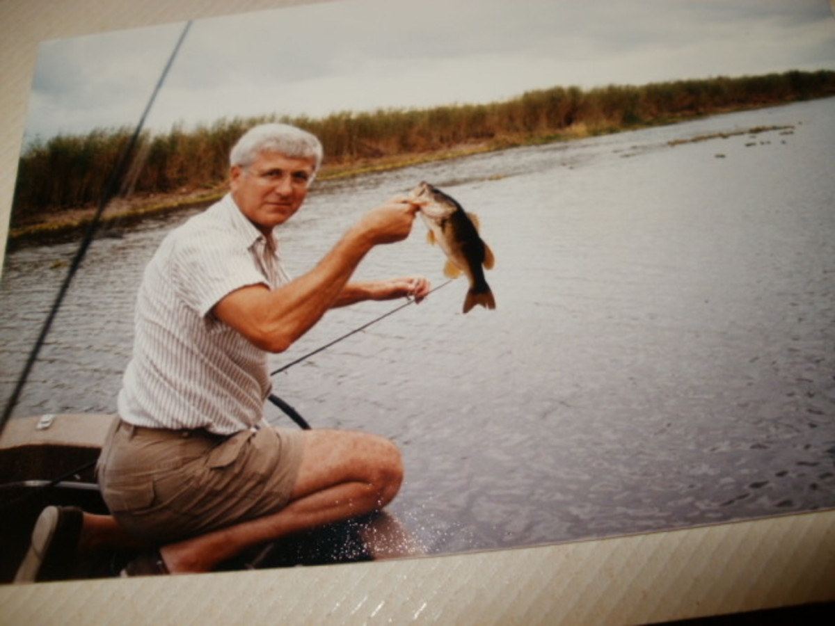 Dad catching a fish in the South Florida Intracoastal