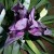 Unfurling In The Night--Changing Every Minute! Unfurling In The Night--Changing Every Minute!