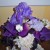 Russian iris is the crown--look for an upcoming hub on this beautiful plant. Russian iris is the crown--look for an upcoming hub on this beautiful plant.