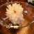 Position jar inside bowl and carefully remove flower. Set it in a cup of water until the next step is complete. Position jar inside bowl and carefully remove flower. Set it in a cup of water until the next step is complete.