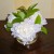 Full of curling petals, full of fragrance! Full of curling petals, full of fragrance!