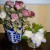 Compare the size of this bedside arrangement. Compare the size of this bedside arrangement.