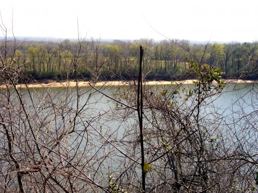 Photo 9 - The Tennessee River through trees.