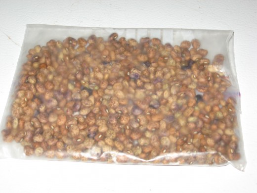 Bean seeds dried and ready for the freezer.