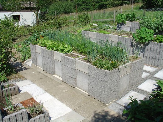 Concrete raised bed