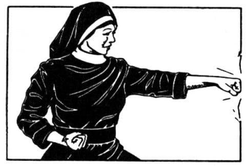 Nuns in Chicago have been trained in self defense by local Instructors.