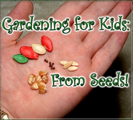 Gardening from seeds is fun and very inexpensive!
