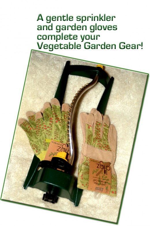 Choosing a gentle sprinkler will help to keep your newly planted seeds moist and safely in their rows!