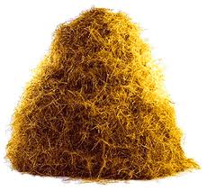 WHAT CHILD HASN'T TAKEN A GOOD LONG NAP IN A HAYSTACK? I THINK AMERICA NEEDS MORE HAYSTACKS AND FEWER POLITICIANS.