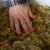 My four year old pats down the stuffing "nest." My four year old pats down the stuffing "nest."