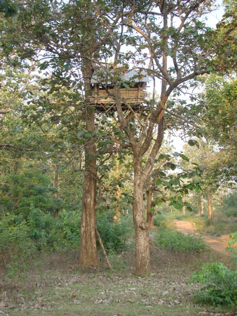 Inspection bunglow of a different kind.  Tholpetty wildlife sanctuary