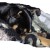 Thursday, rescued from the trash and a hearty attitude. Nap time. Thursday, rescued from the trash and a hearty attitude. Nap time.