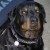Munch'hund, deceased, but the best partner I had in years. He looked out for me. Munch'hund, deceased, but the best partner I had in years. He looked out for me.