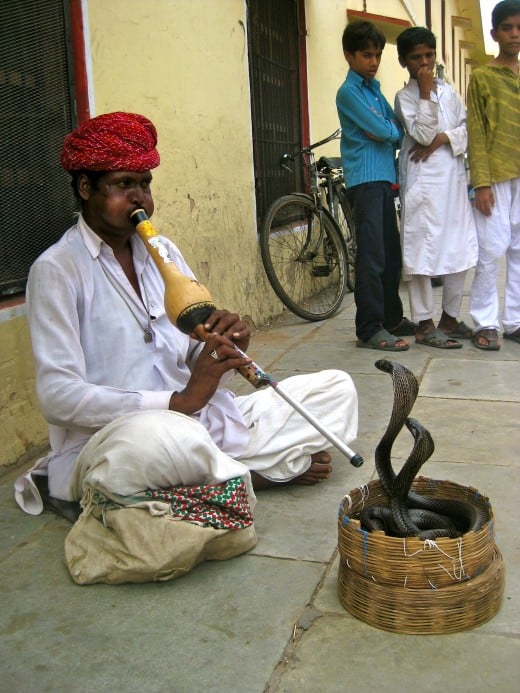 A real-life snake charmer on the streets of Jaipur!