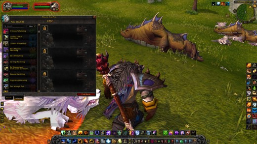 A sample of the Pet Battle frames, not fully implemented yet.