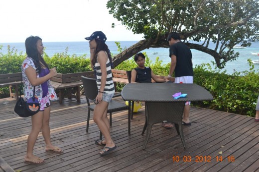 Overlooking the beach