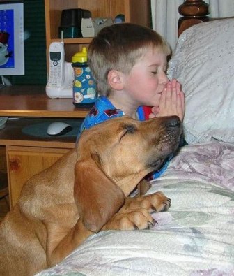Man's Best Friend. They Even Pray With Us. Who Knew?
