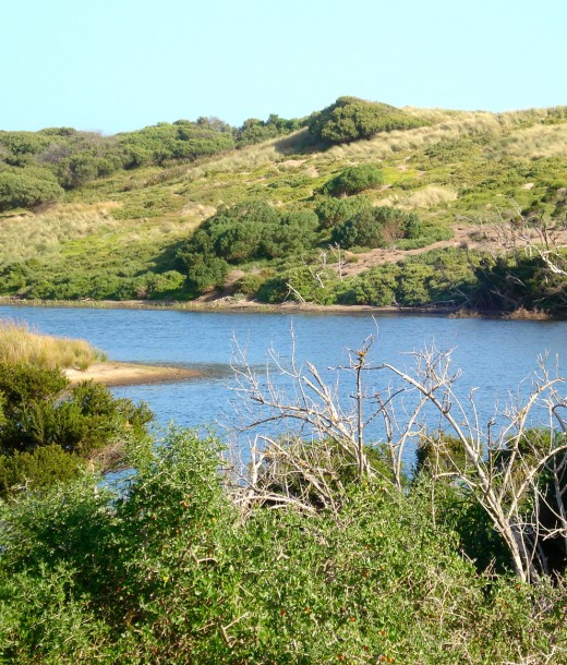 Part of Swan Lake