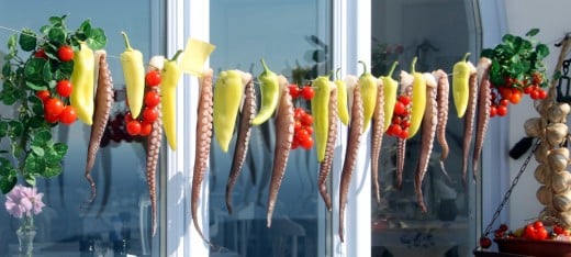 Octopus drying out at Mama Thira's in Firostefani