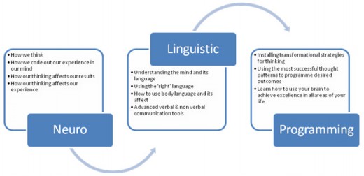 Neuro-Linguistic Programming (NLP) as a tool to model successful pupils’ behaviour