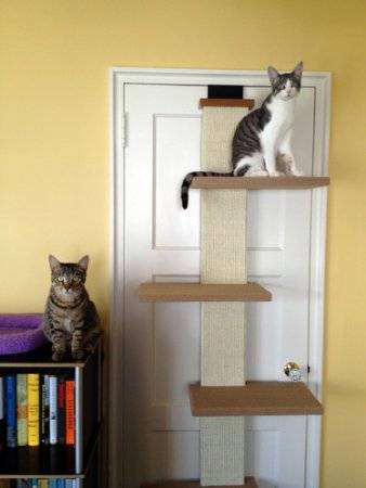 SmartCat Multi-Level Cat Climber