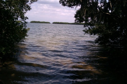 View from the kayak launch at Cooper's Bayou Park, from where our third kayaking adventure began.