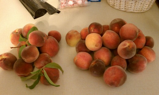 Pick a peck of peaches from Smolak Farms!  (They tasted as good as they look.)