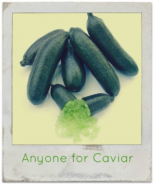 Citrus Caviar ~ Finger Limes