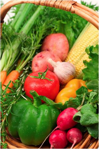 Fresh Vegetables from the Garden