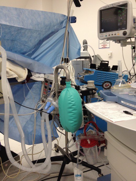 The anesthesiologist's view of your operation.