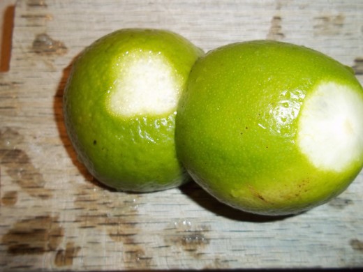 Cut Lime Bottom