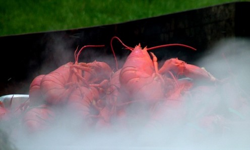 lobster seafood boil