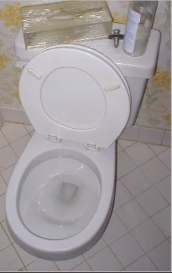 The Flush Toilet--Interesting Facts on an Amazing Invention