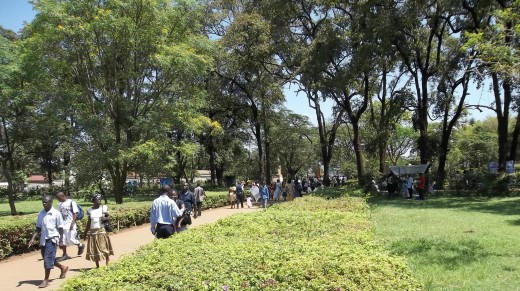 Jomo Kenyatta Grounds, Kisumu. You can form a group to add more trees to public parks with authority from the City Council