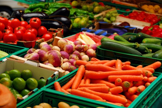 Food Sense – Organic farming and Organic food