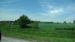 https://usercontent1.hubstatic.com/6558612_f260.jpg